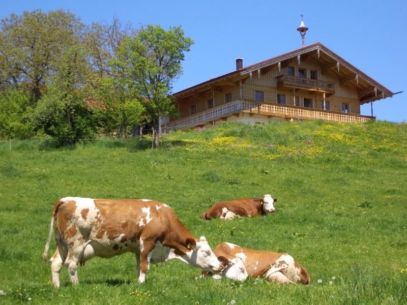 Huberbauernhof Ferienwohnungen Piding Exterior foto